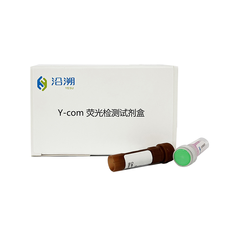 Y-com熒光檢測試劑盒
